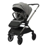 Коляска с перекидной ручкой Kidilo DINA Grey